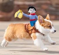 Didisfraz de jinete vaquero para Mascotas
