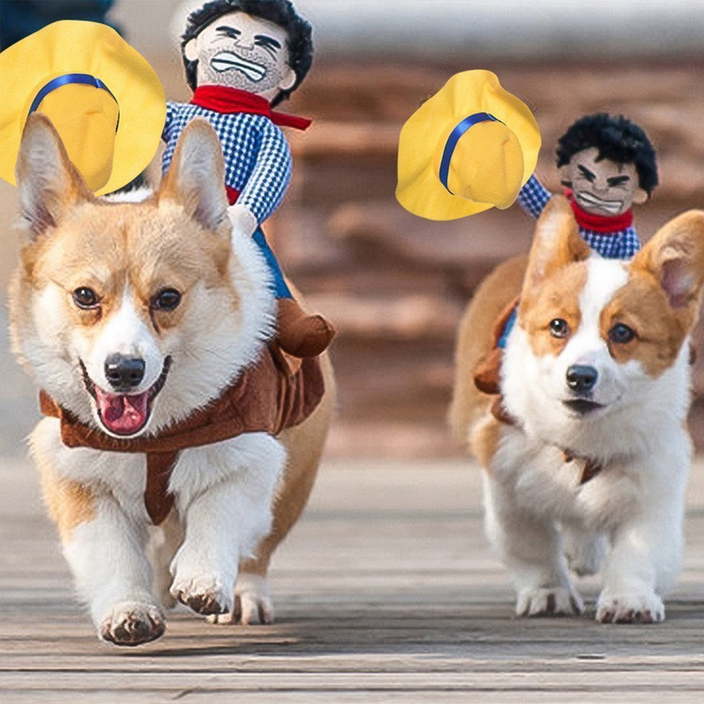 Didisfraz de jinete vaquero para Mascotas