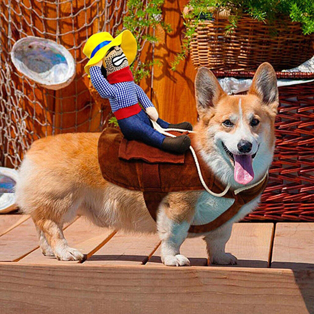Didisfraz de jinete vaquero para Mascotas