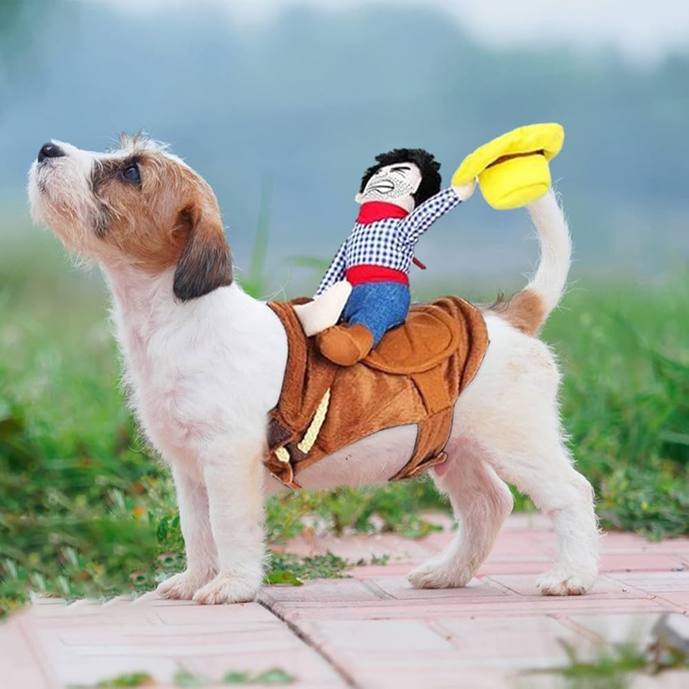 Didisfraz de jinete vaquero para Mascotas